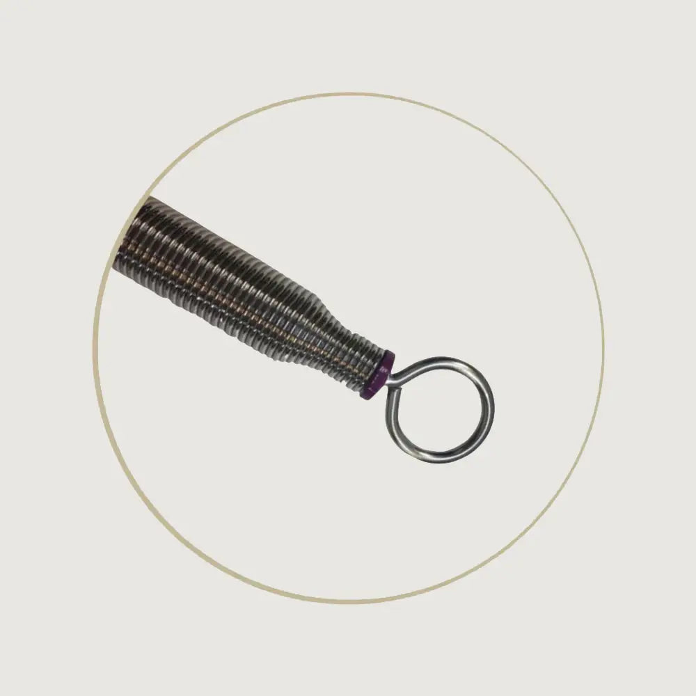 BASI Systems Springs