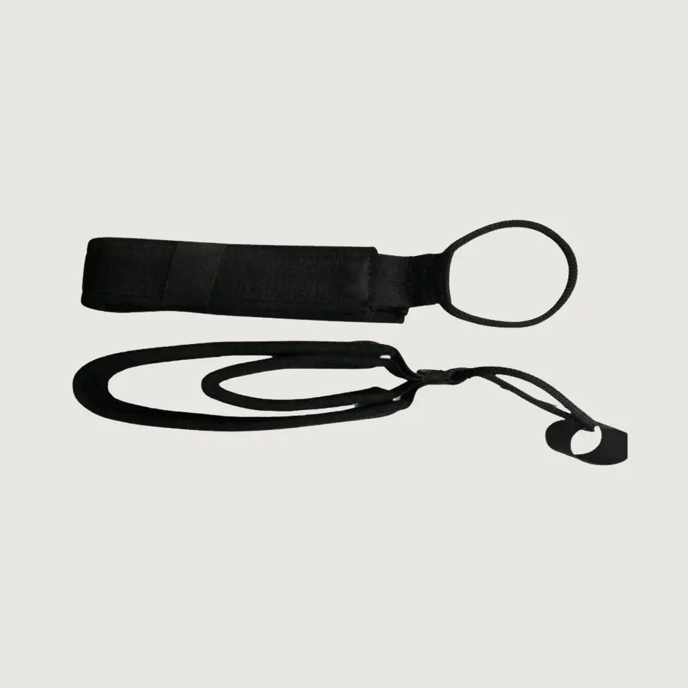 BASI Systems Double Loop