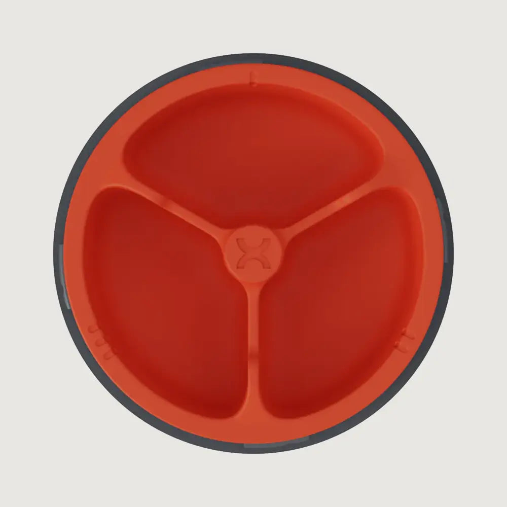 Promixx Vitamin C Supplement Case - Ecozen