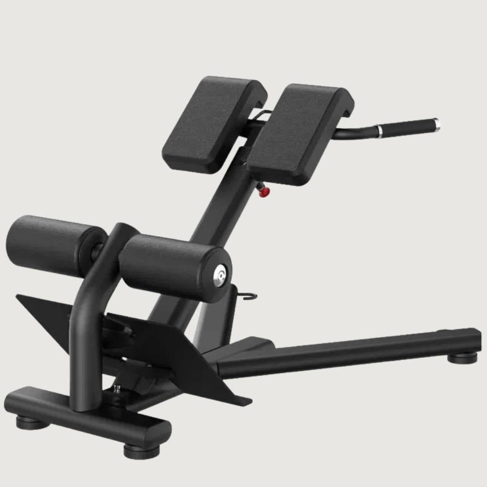 Insight Fitness Back Extension - DR010