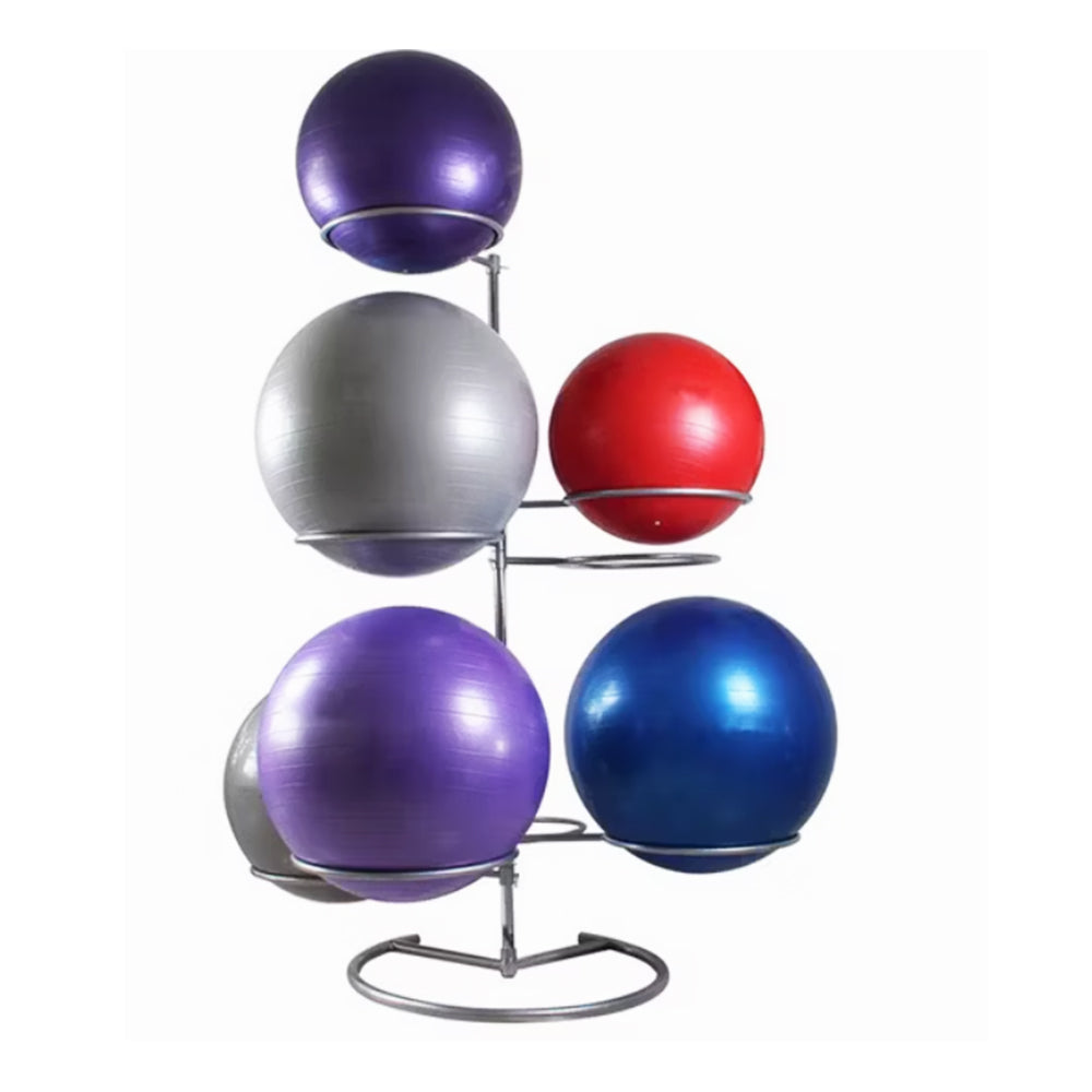 1441 Fitness 9 pcs Gym Ball  Rack