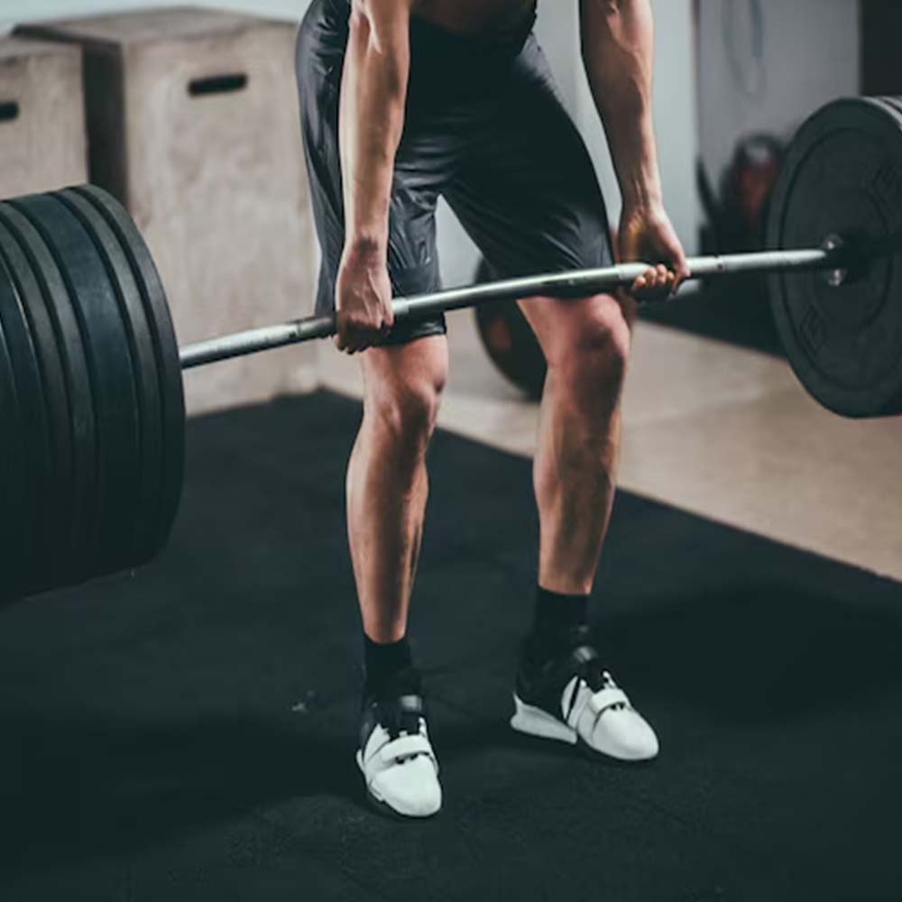 1441 Fitness 5 Ft Olympic Bar with Collars - 10 Kg