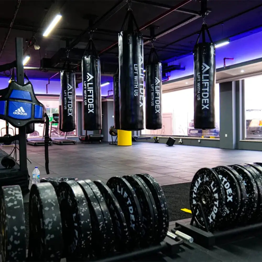 Liftdex Boxing Bag