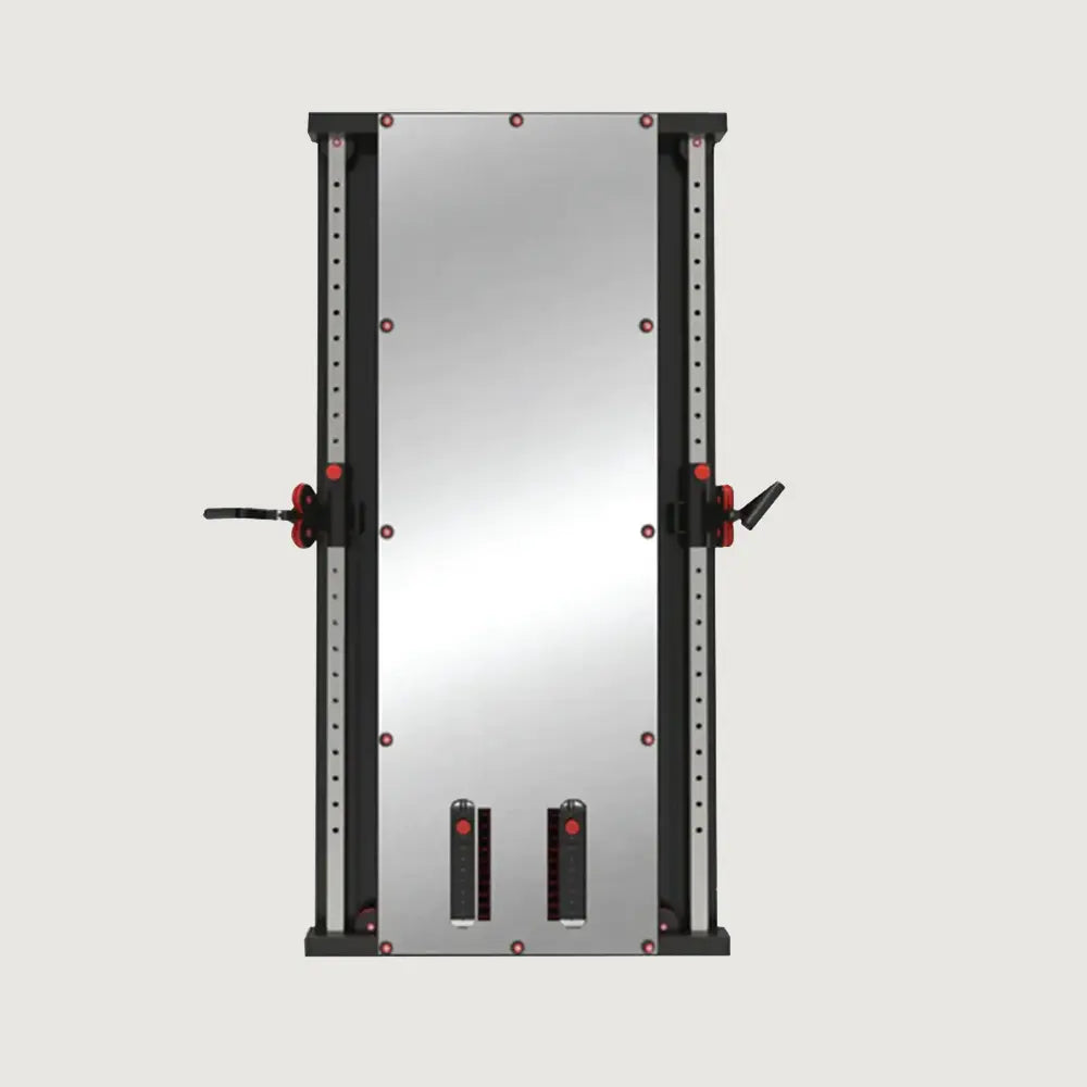 Liftdex Wall Mounted Steel Dual Pully Cable Machine