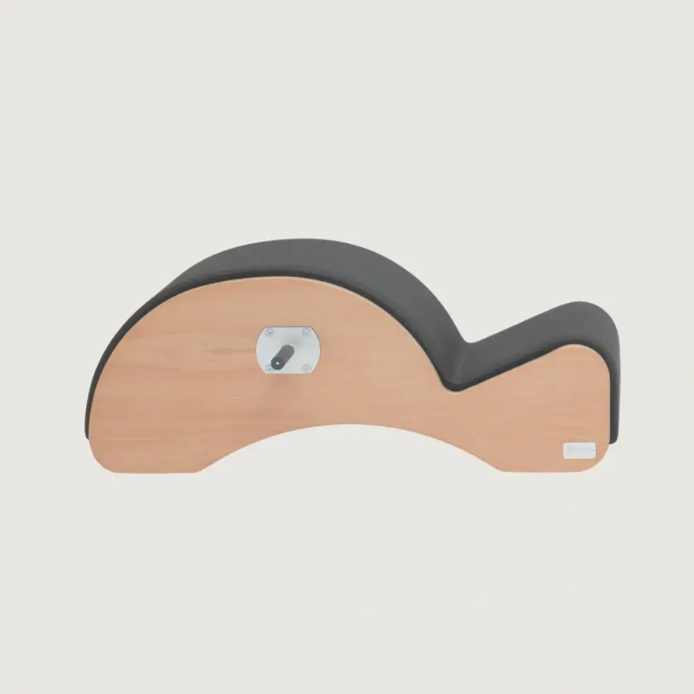 BASI Systems Spine Corrector