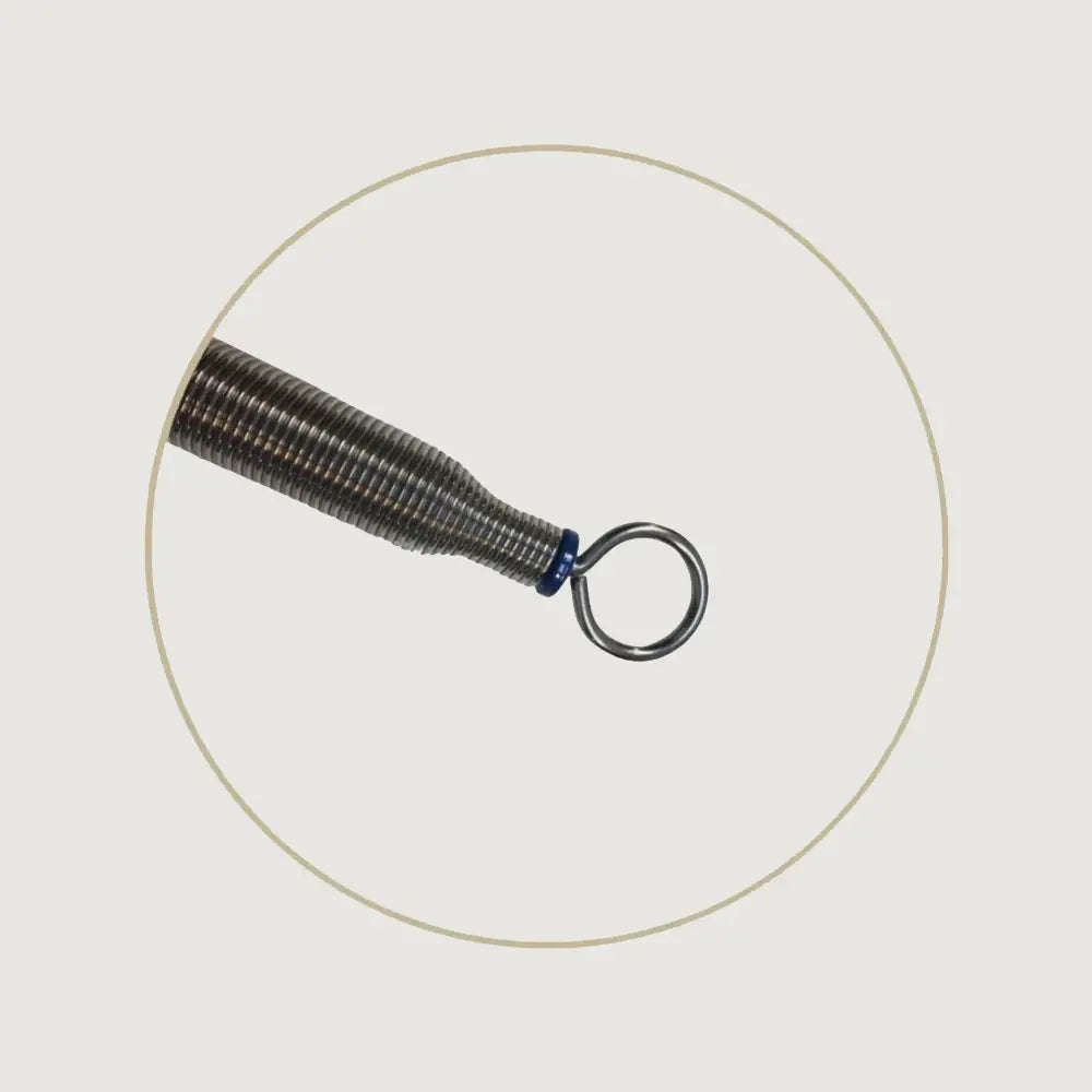 BASI Systems Springs