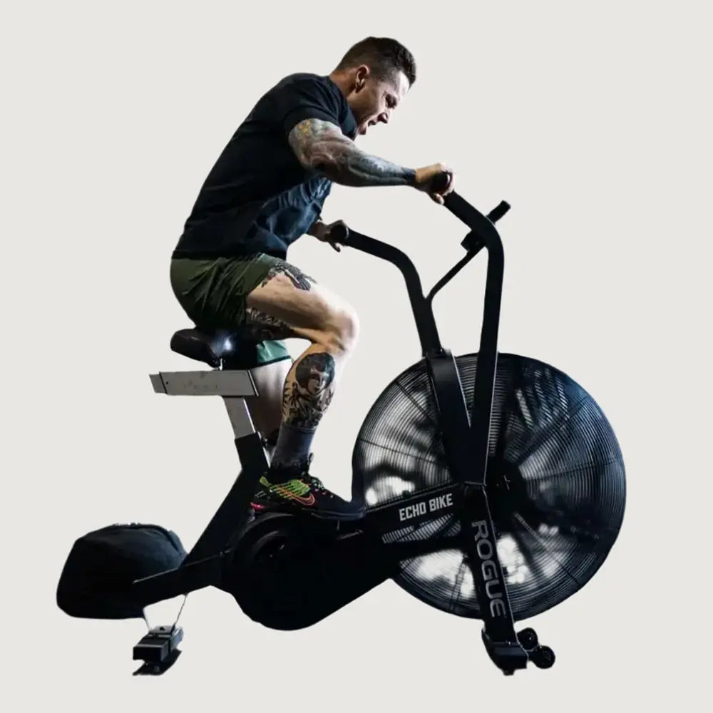Rogue Echo Bike V3.0