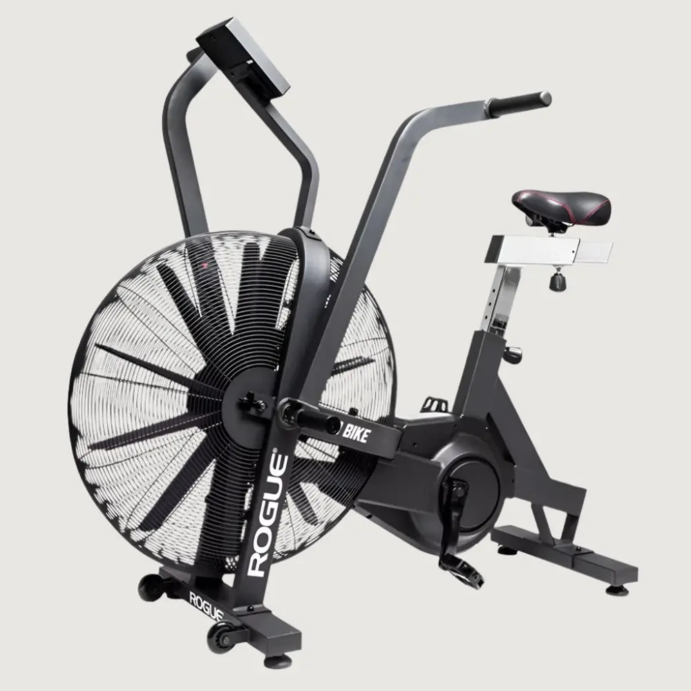 Rogue Echo Bike V3.0