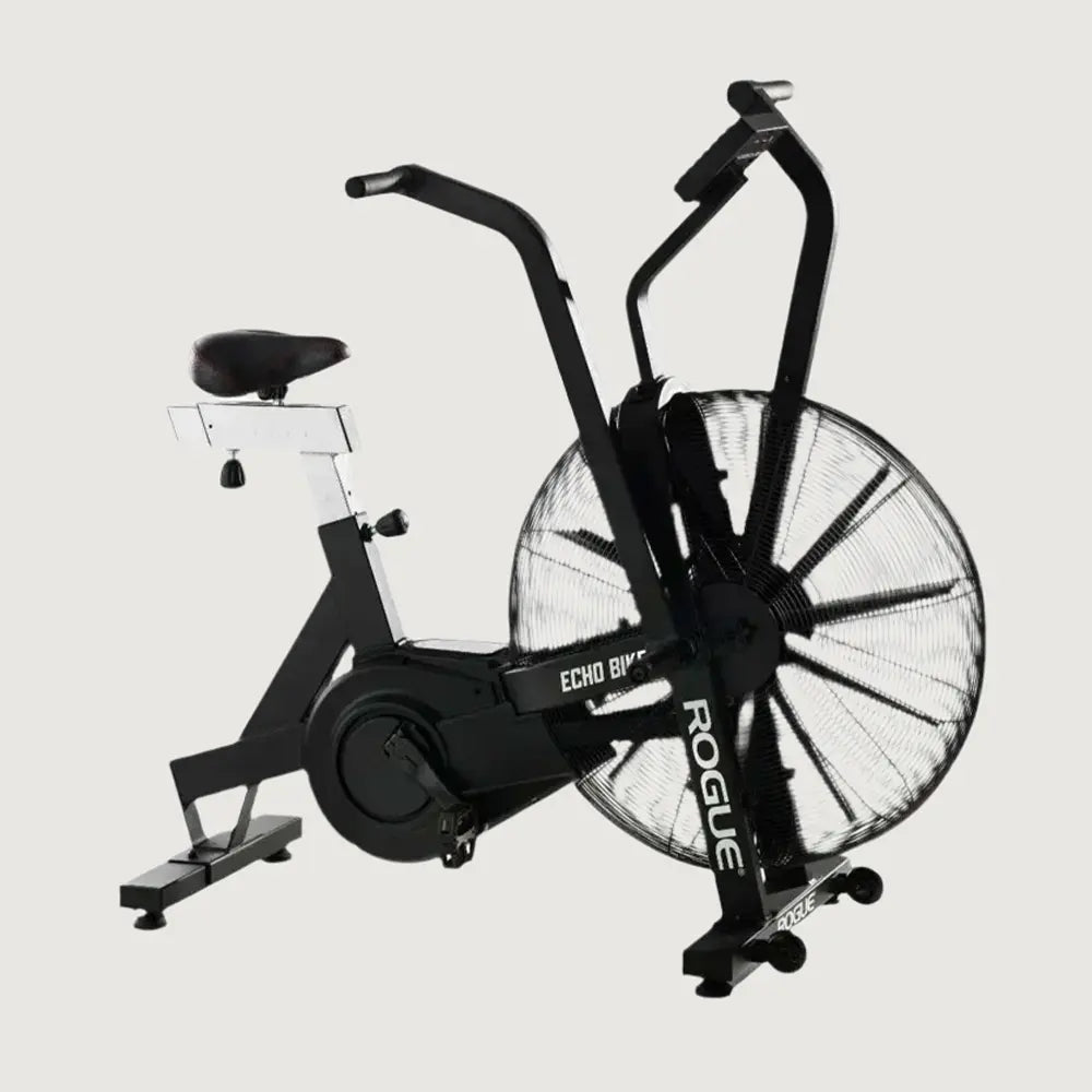 Rogue Echo Bike V3.0