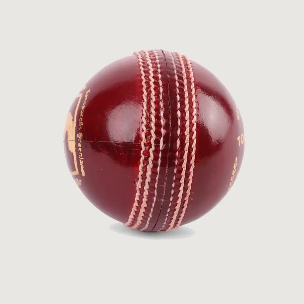 SG Tournament Cricket Ball