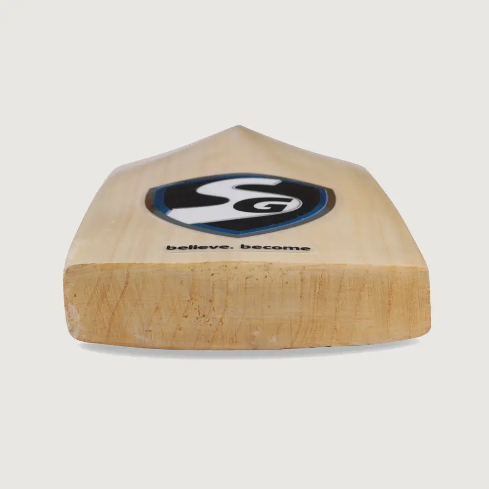 SG RP Champ Kashmir Willow Cricket Bat SH
