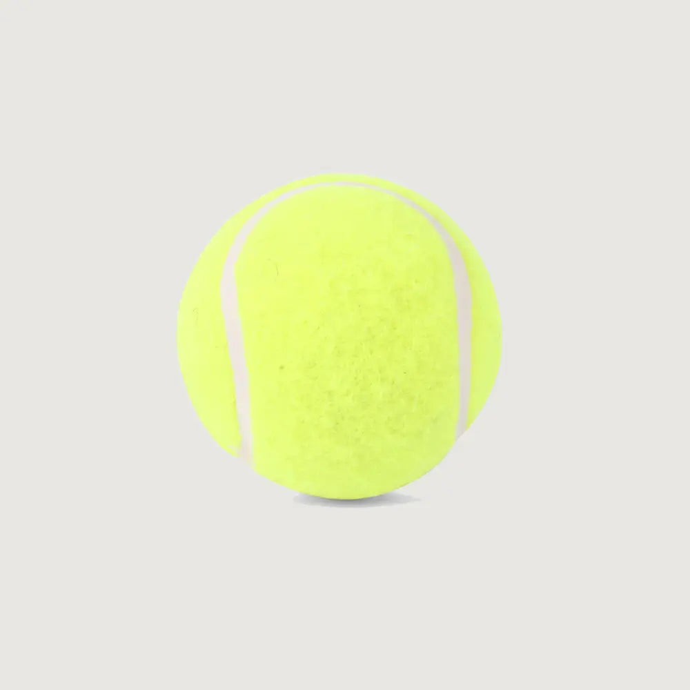 SG Endura Synthetic Ball