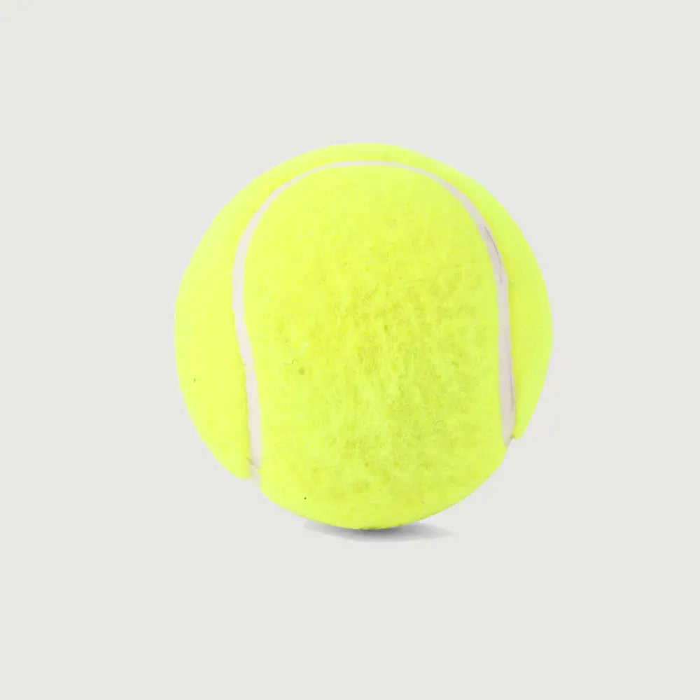 SG Icon Synthetic Ball